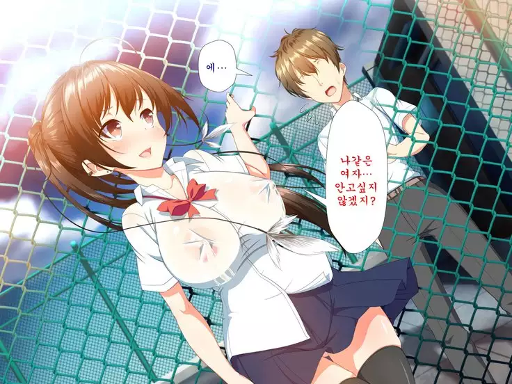 Inran Virus ~Seikoui wa Iryoukoui~ <팀 혼파망>