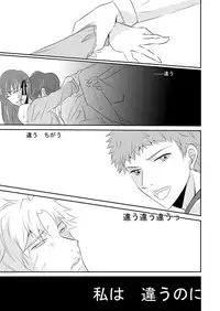 [Tsukirin] 桜雁桜本 (Fate/Zero) [Digital]