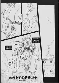 (C71) [Akai Tsubasa (Tachibana Chata)] V.B.A. (Final Fantasy XI)