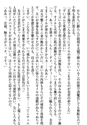 年上メイドの新婚日記