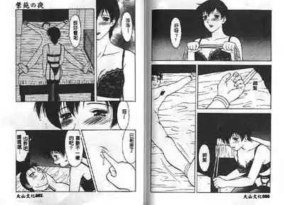 Shion No Yoru Aizouban