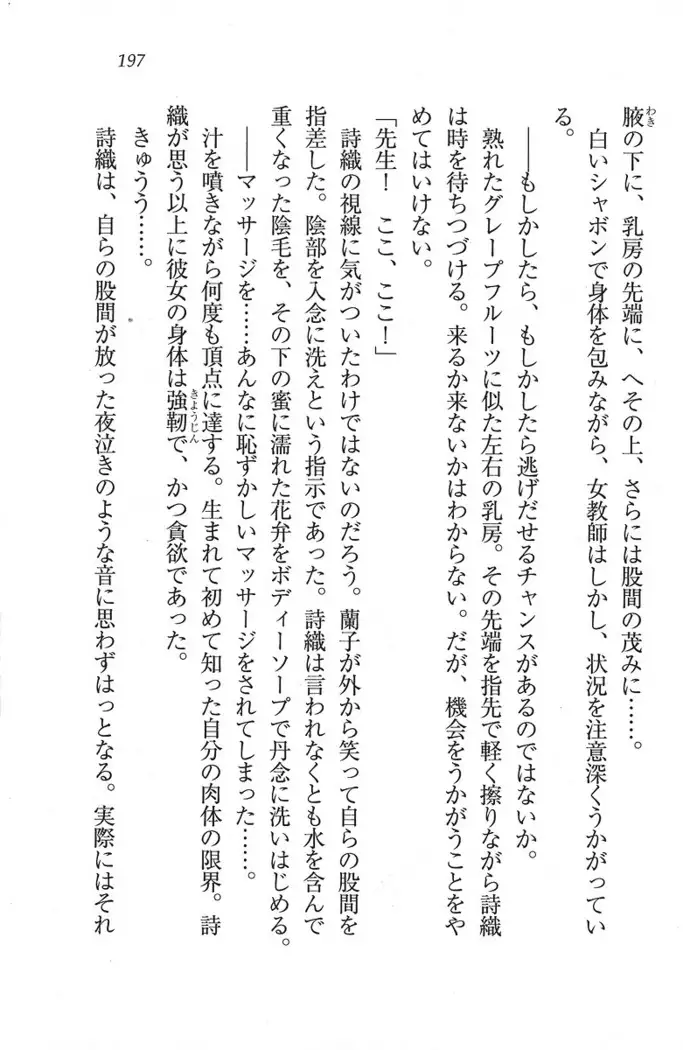 解放区~痴漢ハーレム