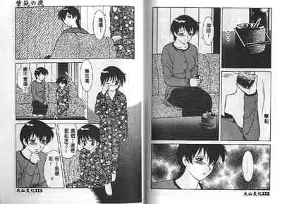 Shion No Yoru Aizouban