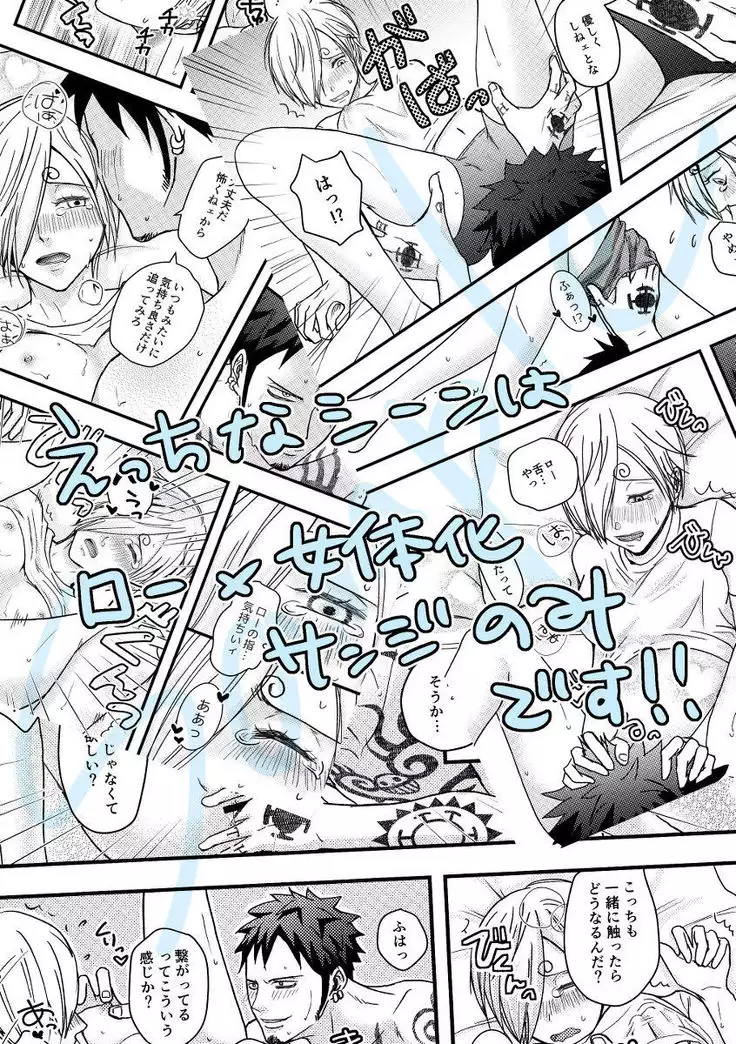 3/ 31 GLC 14 shinkan sanpuru sample