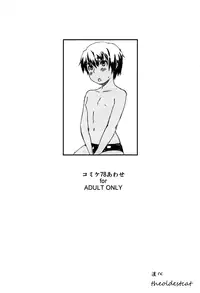 (C78) [REFLECTION (U-hi)] Comiket 78 Awase [Chinese] [theoldestcat汉化]