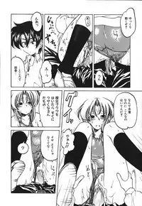 [Benjamin] Stray Sheep