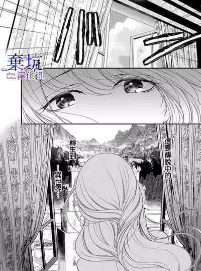 Iseikai no Seijousama ni Narimashita~Ikemendaishinnkantotorokyunshiawasedekiaisekatsu | 成為異世界的聖女大人!~與帥哥大神官過著甜蜜蜜又幸福的溺愛生活01