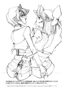 [Mimasaka Direct (Mimasaka Hideaki)] Affection (Sonic Soldier Borgman)