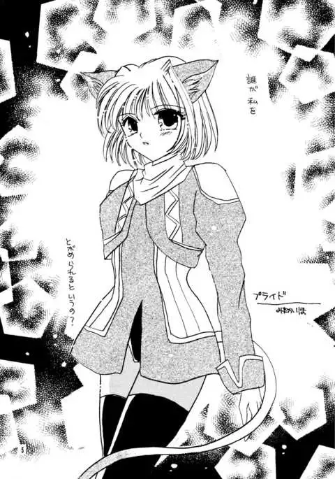 ミスラ風山の幸串焼