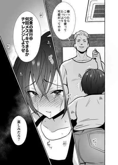 Daikiraina ojisan to 10-kakan mesuikicharenji