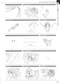 The Ultimate Art Collection Of "Natural2 -DUO-"