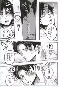 (C86) [Onjire (Tamy)] ONGRE2013 (Shingeki no Kyojin)