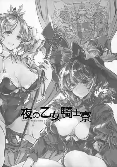 The Virgin Knights secrets at Night