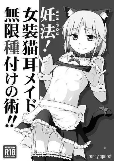 Ninpou! Josou Nekomimi Maid Mugen Tanetsuke no Jutsu!!