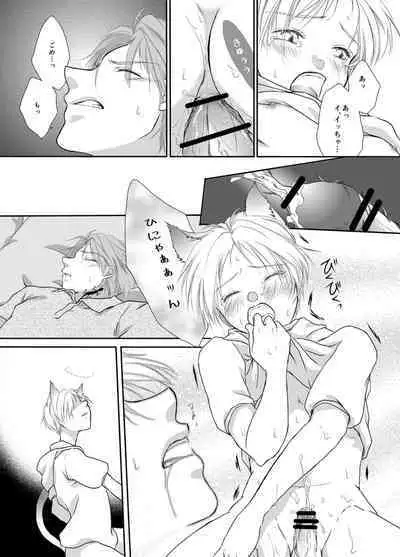 Natsume Nyan Nyan Chou
