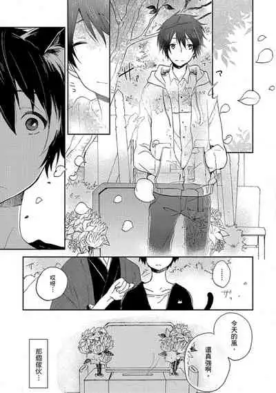 Kiss Shite Yowamushi-kun! | 吻我啊，胆小鬼!