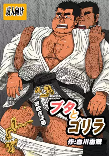 破かれたお嬢さま