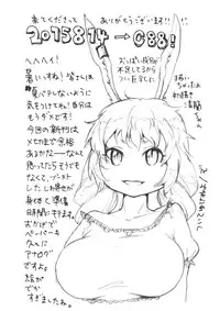 (C88) [tuiteyukenuyo (Zo)] Aka to Ao no Circus (Touhou Project) [Chinese] [名字还没起的汉化组]