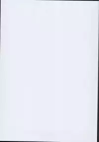 (C94) [Sujoyu & Co. (Sujoyushi)] JSF Junior Succubus Frandre (Touhou Project)