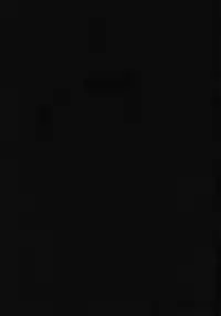 (C66) [Cha Cha Cha Brothers, Rupinasu Touzokudan (Yokoyama Chicha)] Kijirushi (One Piece)