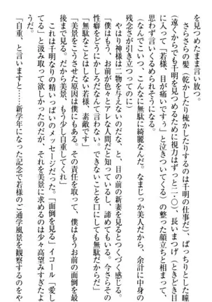 年上メイドの新婚日記