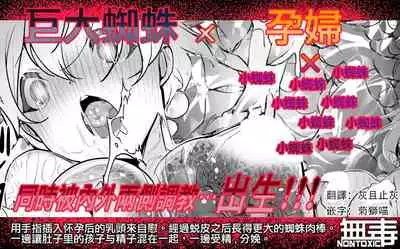 [Haechaimu (smomo)] Kumo x Ninpu [Chinese] [无毒汉化组]