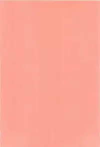 (C90) ぬえちゃんは視られたい (東方Project)