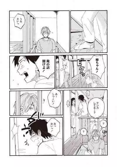 Hatomugi Batake de Tsukamaete - The Catcher in the Hato