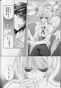 [Sakura Ashika] Himitsu No Kemonotachi