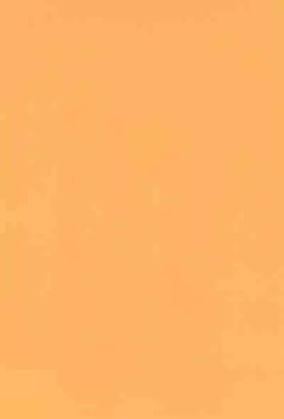 (C61) [Inugumi (Hinomoto Uta)] HITMAN (Digimon Tamers)