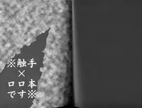 [Syonen-Kikakugai. (Himeki)] Panic Room (Code Geass)