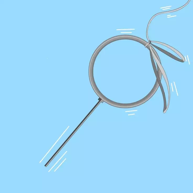 The nature of life part2