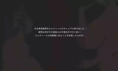 NTR Fantasy in the Sky - Raiden Shogun