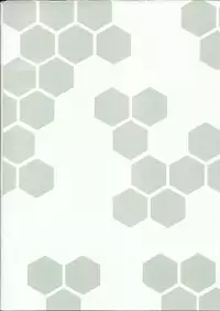 【FF32】 [MaluBall] 鐵血補獲 (Girl's Frontline) 恐怖蟑螂公個人分享