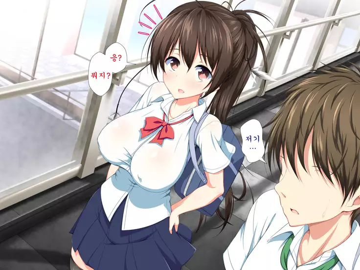 Inran Virus ~Seikoui wa Iryoukoui~ <팀 혼파망>