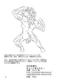 (SC47) [Cat Tower (Nyagomaru)] Zetsurin Inba 2-tou (Dragon Quest V)