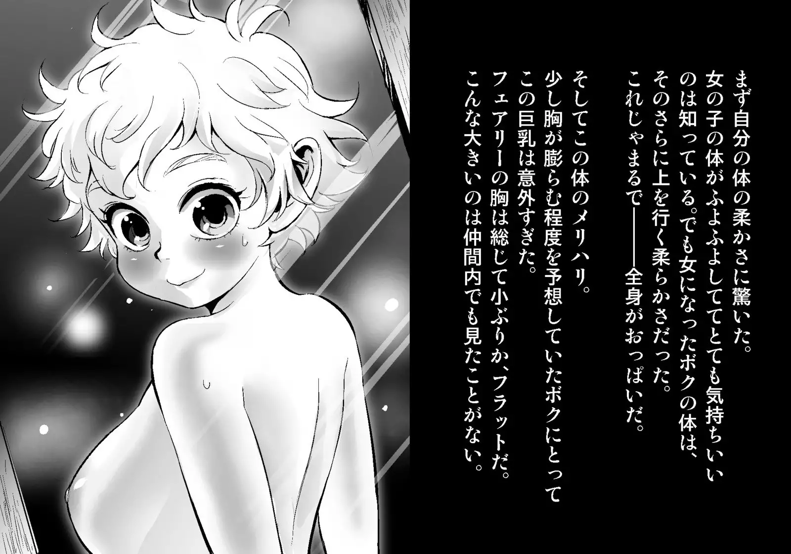 フェアリーセティ