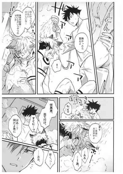 FUSHI TO NEKO