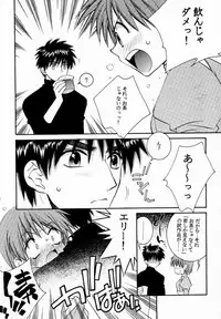 (C59) [TOTSUGEKI WOLF (Yuuki Mitsuru)] Prince & Princess (Atelier Iris: Eternal Mana)