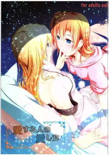 悪堕ち騎士と淫魔化姫君