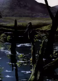 [本の島(津田沼人)] Sherry (Resident Evil)