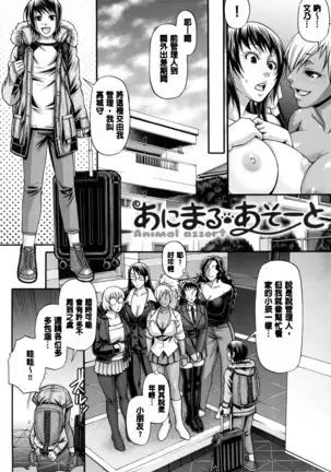 Animal Assort | 痴女淫獸齊聚一堂