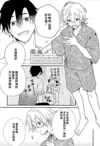 Shiokaze Mellow | 海风轻柔