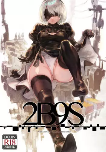 [Aoinhatsu (Aoin)] 2B9S (NieR:Automata) [Chinese] [Digital]