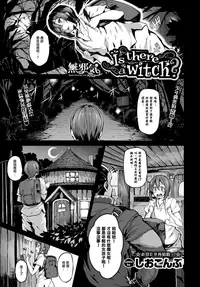 [Shiokonbu] Is there a witch? (COMIC BAVEL 2017-11) [Chinese] [無邪気漢化組] [Digital]