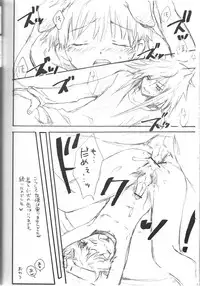 Peach Drop- Arco Iris