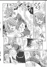 [Matra Milan] Palladium Garden