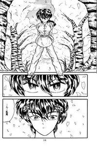 (C36) [Silicon Valley] Man in the Mirror (Ranma 1/2)