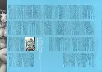 [Nishieda] Dendrobium