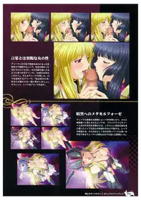 Ikusa Otome Valkyrie 2 Visual Fanbook